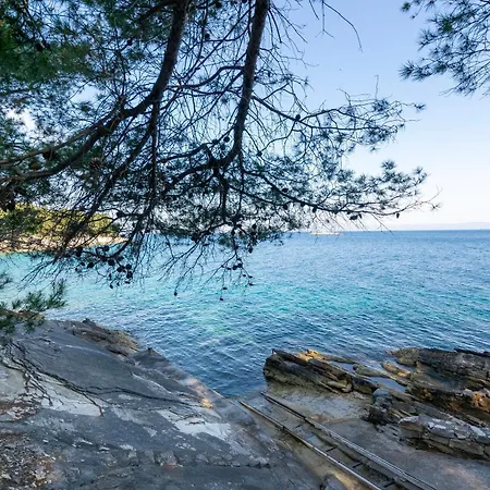 House Ivan Vikendica Prigradica