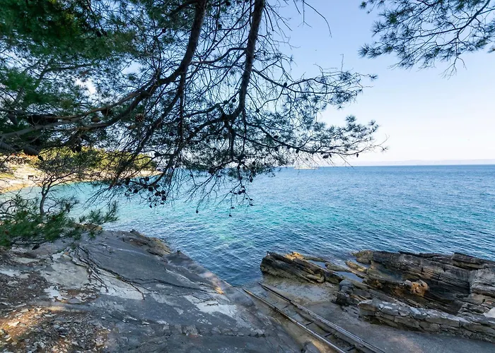 House Ivan Holiday home Prigradica